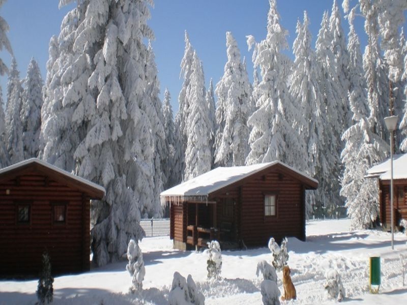 Yagoda Chalets サモコフ エクステリア 写真